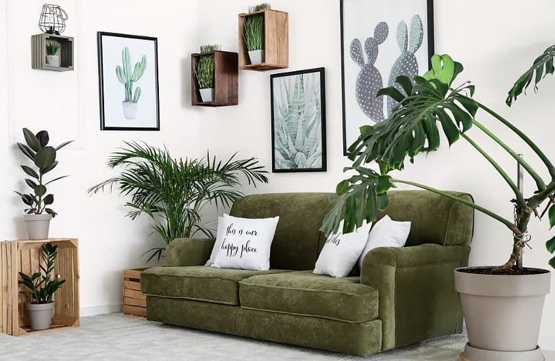 Idealne kolory ścian do zielonych mebli, które zachwycą Twoje wnętrze