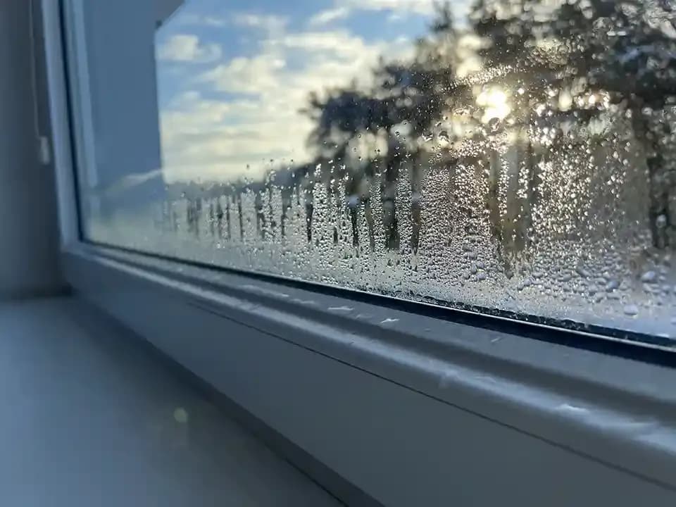 Dlaczego okna parują zimą? Oto przyczyny i skuteczne rozwiązania